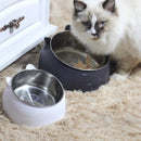 Tigela com Inclinação | Para Gato